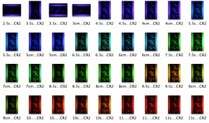 Ohta_HeidiPeter_2003_overview